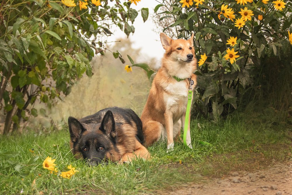 Photograph by Любовь Головина