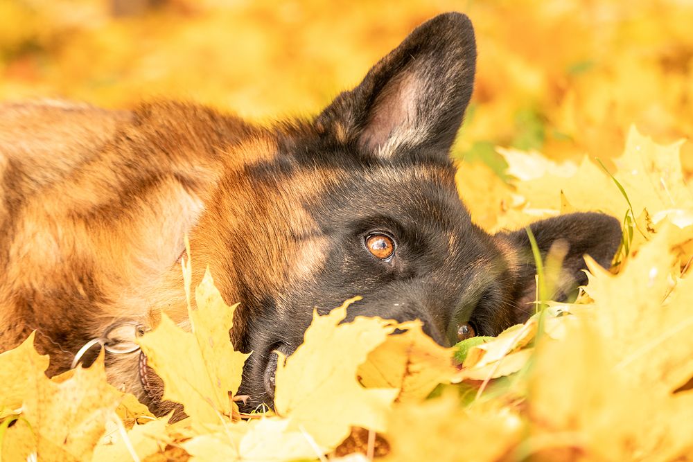 Photograph by Любовь Головина