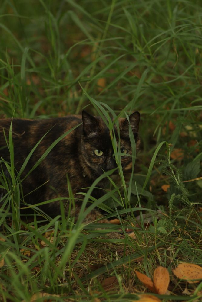 Photograph by Елена Квасова