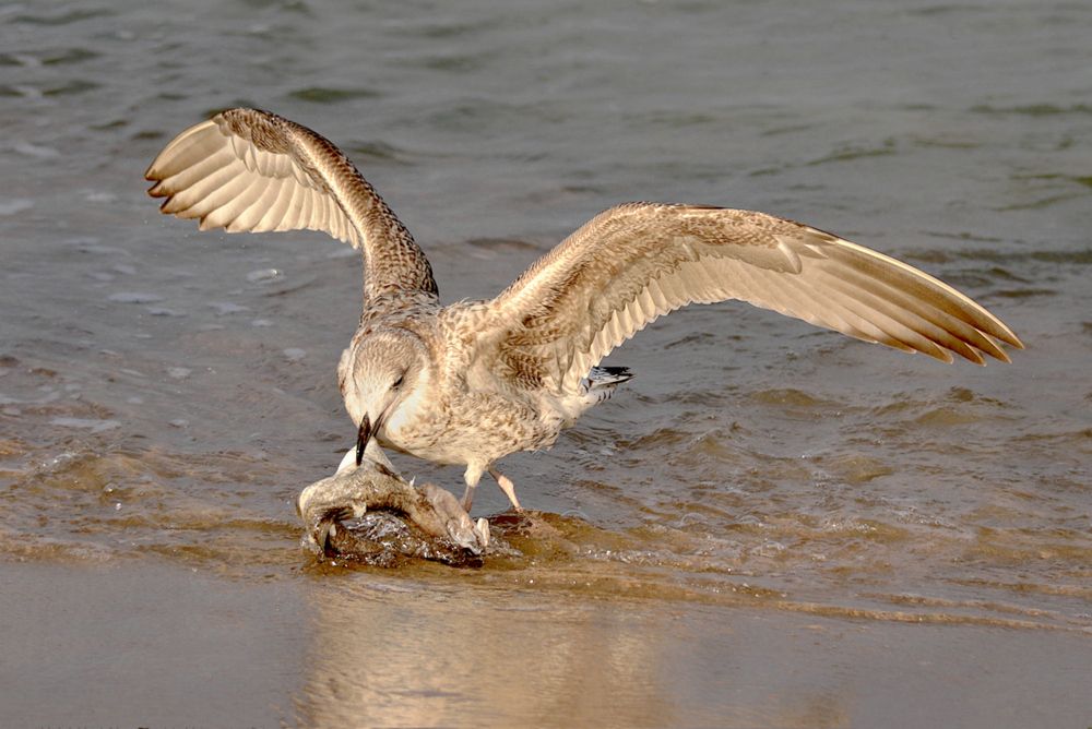 Photograph by Шруб (Беляева) Татьяна