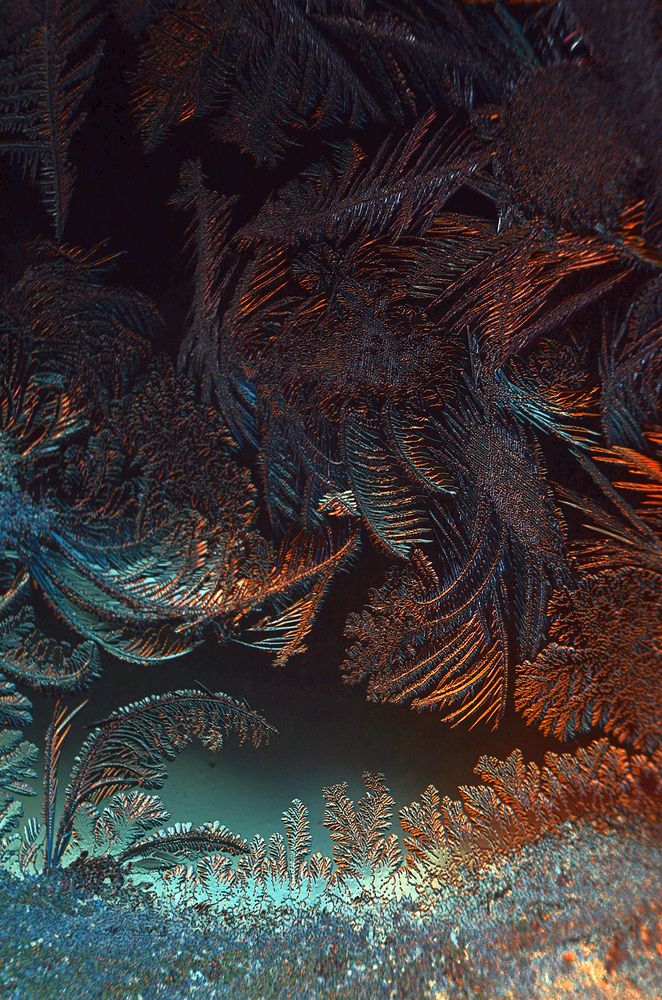 Рисунки деда мороза.