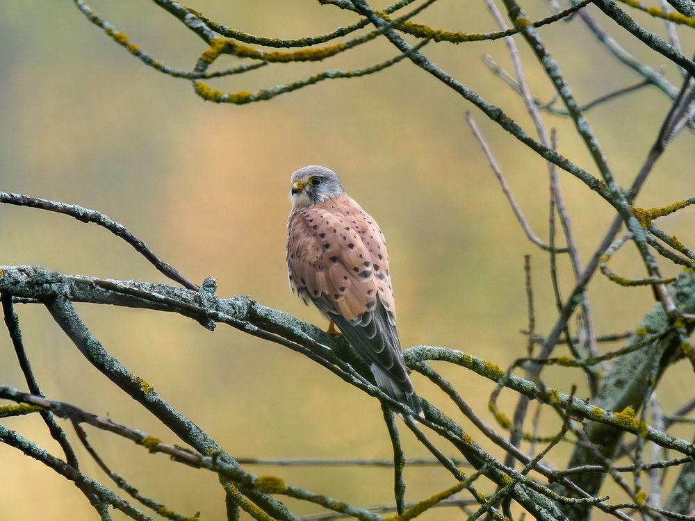 Photograph by Ольга Сергеева