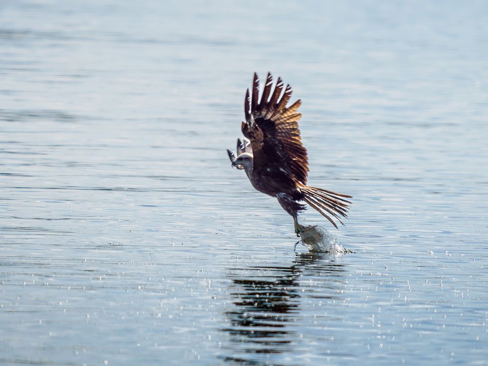 Photograph by Ольга Сергеева