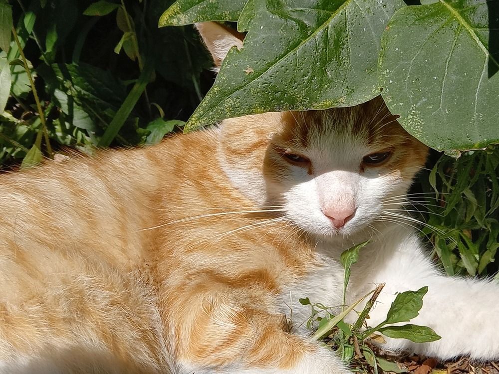 Photograph by Ольга Юрченко