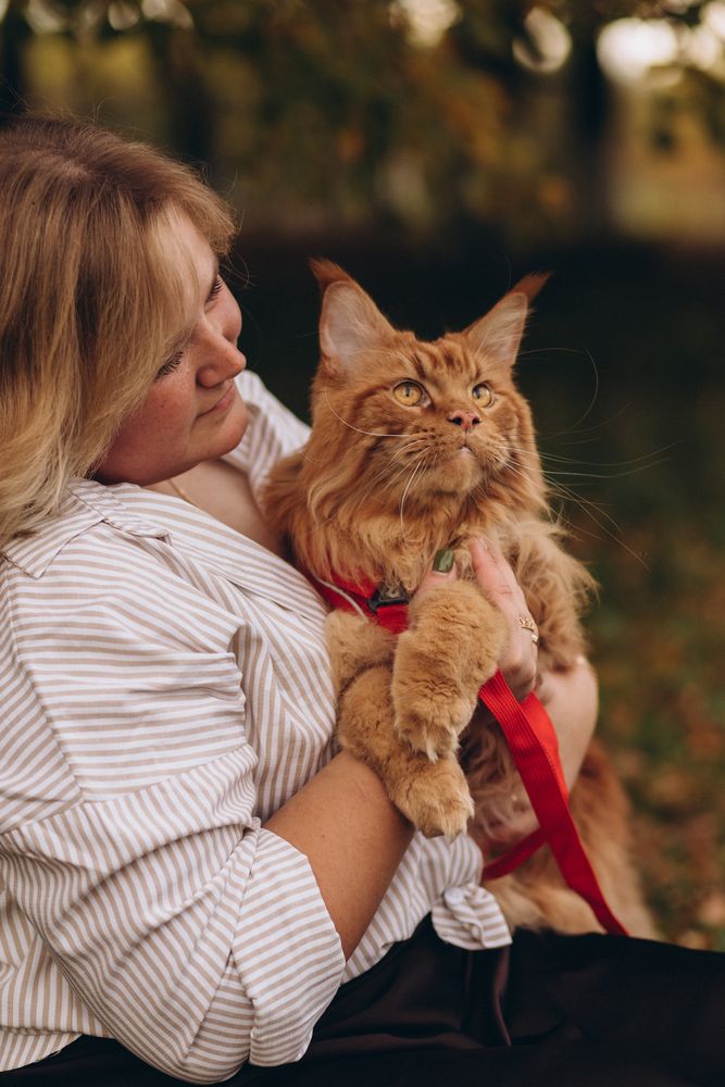 Photograph by Светлана Субботина