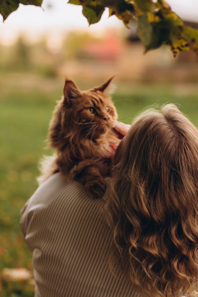 Photograph by Светлана Субботина