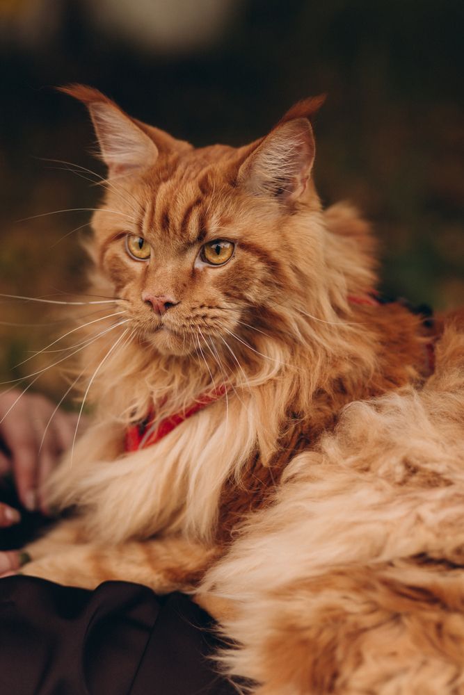 Photograph by Светлана Субботина