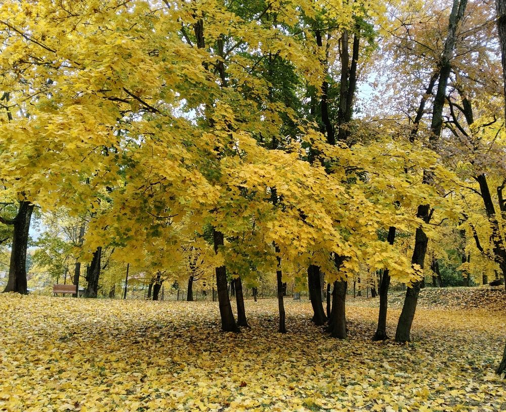 Photograph by Елена Сухорученкова