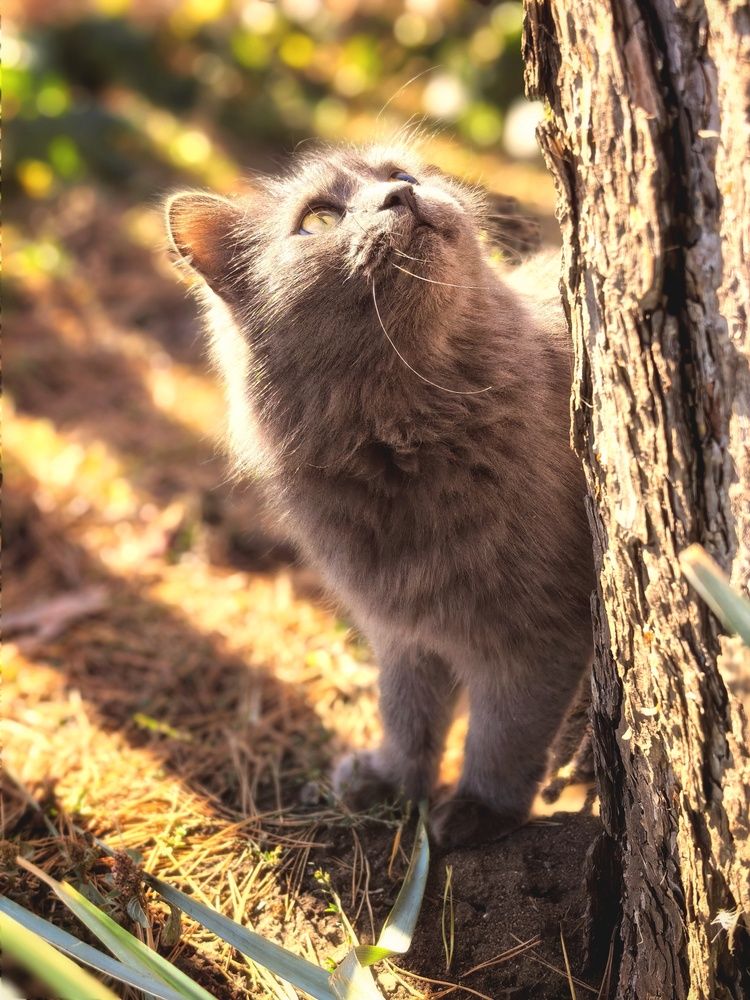 Photograph by Анна Якубинас