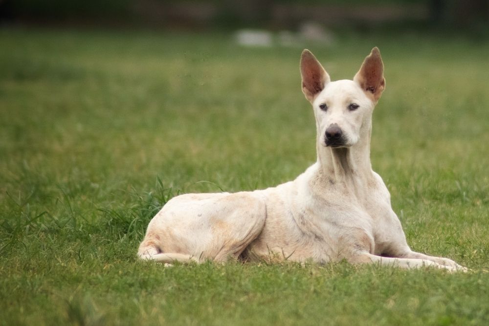 Фотография автора Washiful Majid