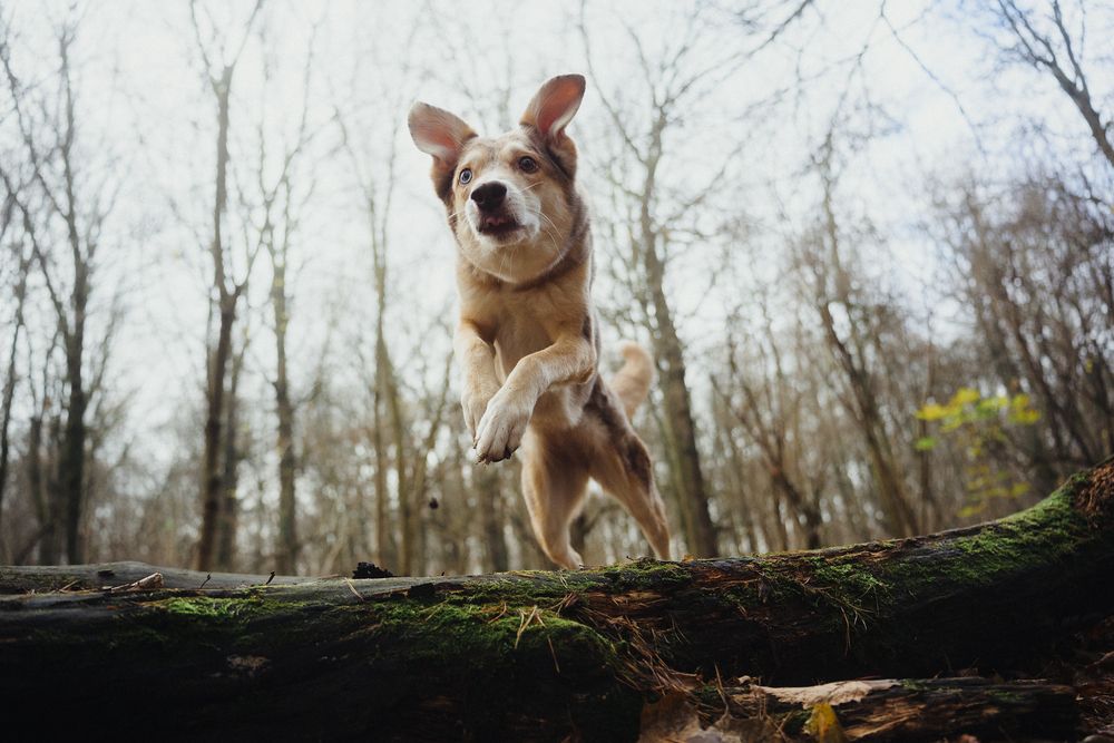 Photograph by Kate Entsi