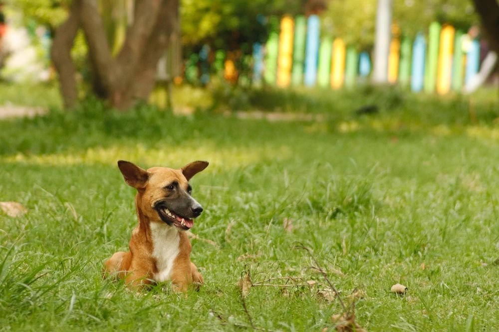 Фотография автора Washiful Majid