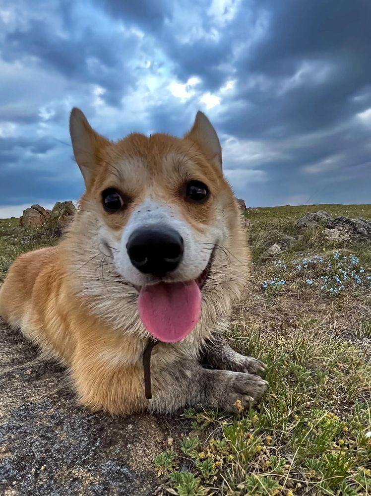 Photograph by Марина Мишутина