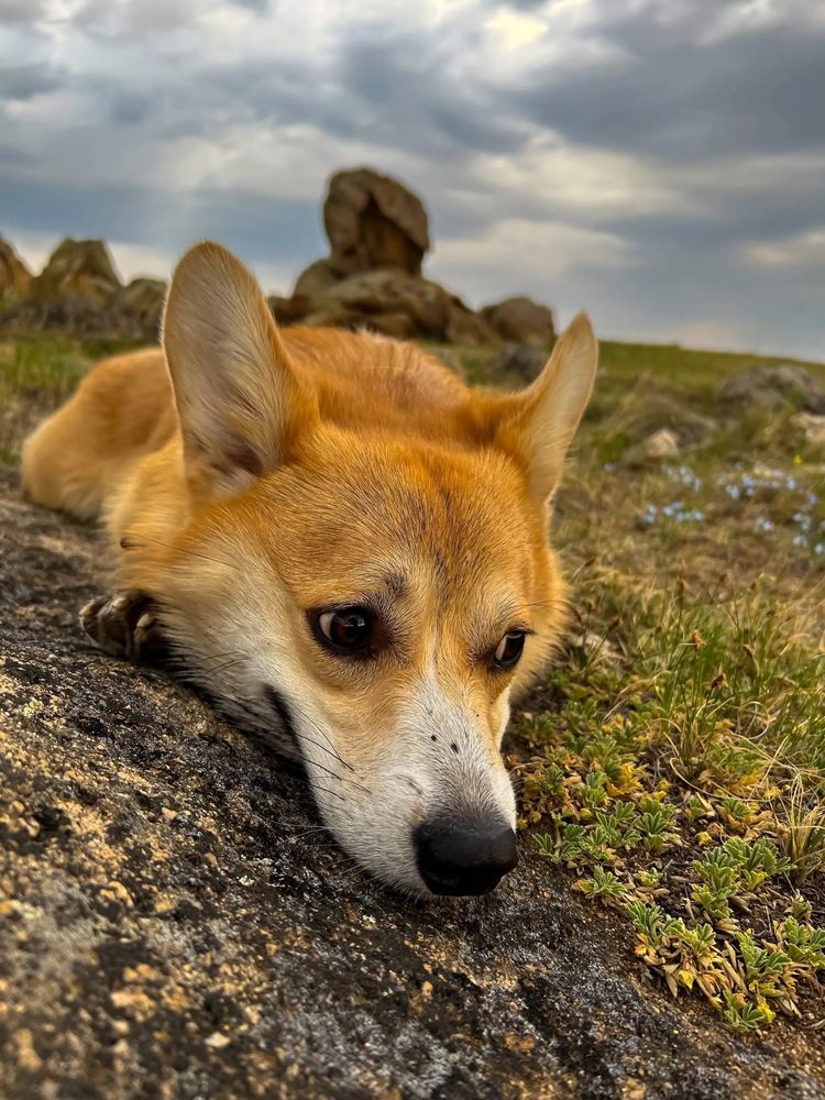 Photograph by Марина Мишутина