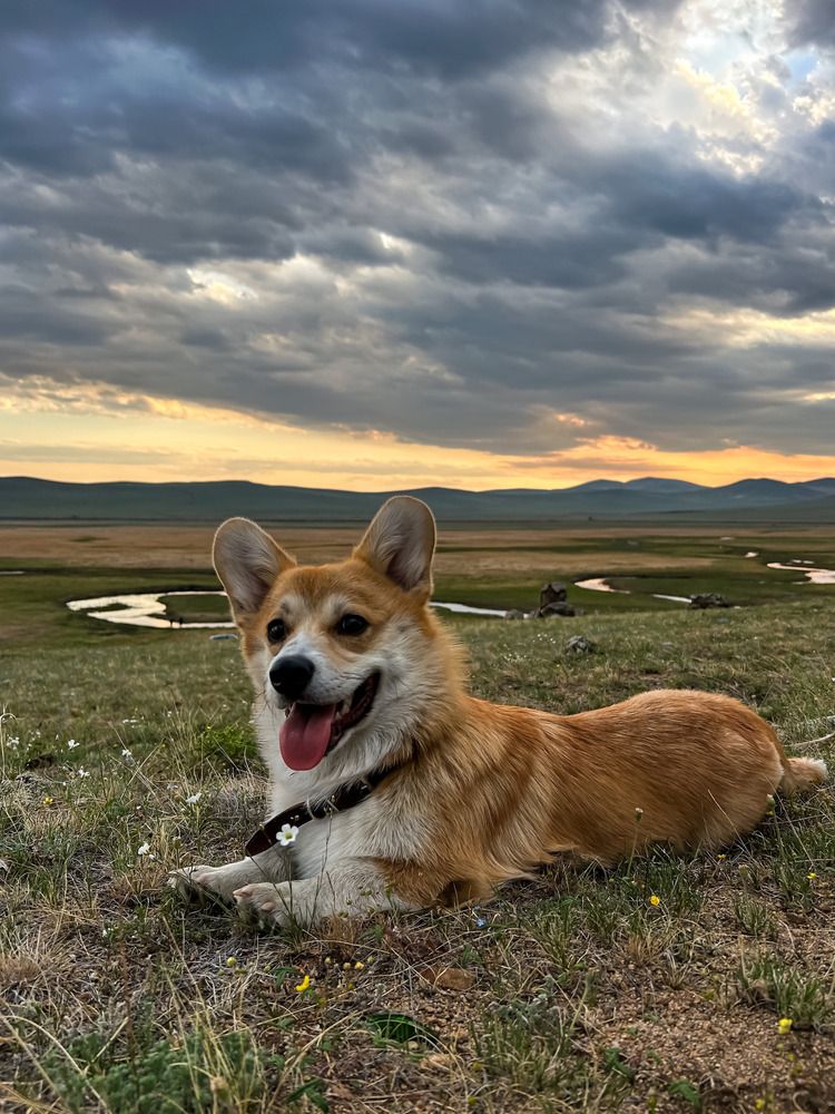 Photograph by Марина Мишутина