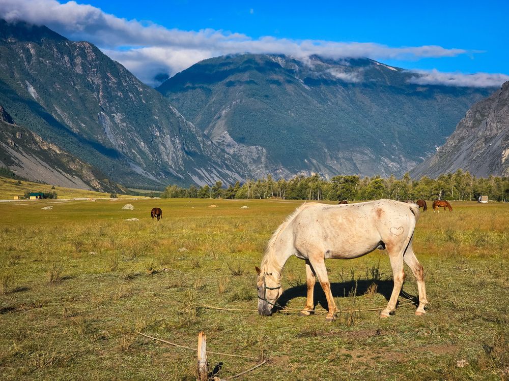 Photograph by Игорь Кабанов
