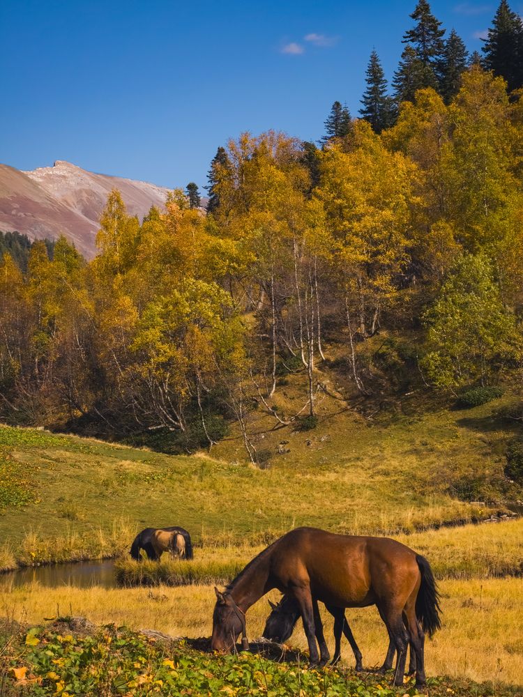 Безмятежность