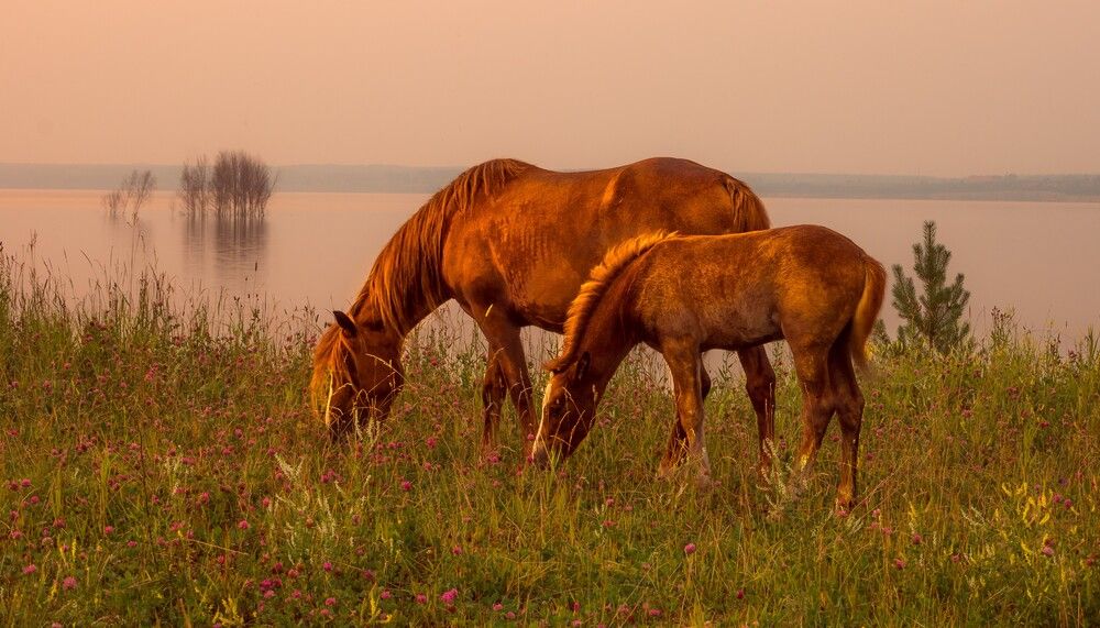 Photograph by Владимир Синцов