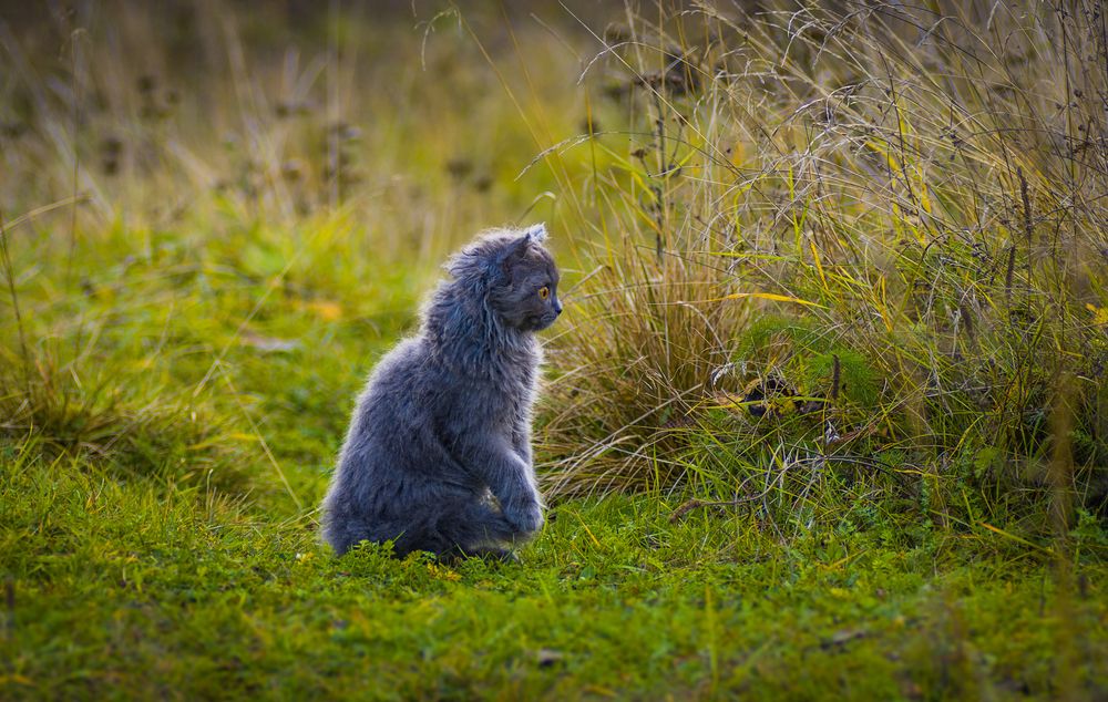 Photograph by Владимир Синцов