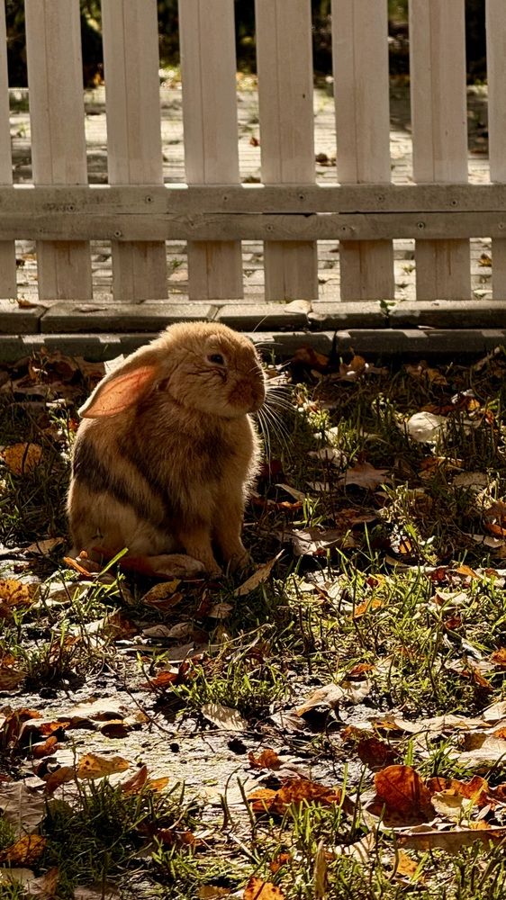 Photograph by Светлана Родионова