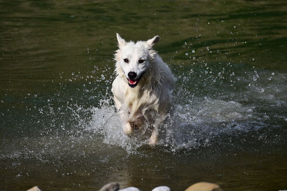 Photograph by Светлана Ивановна