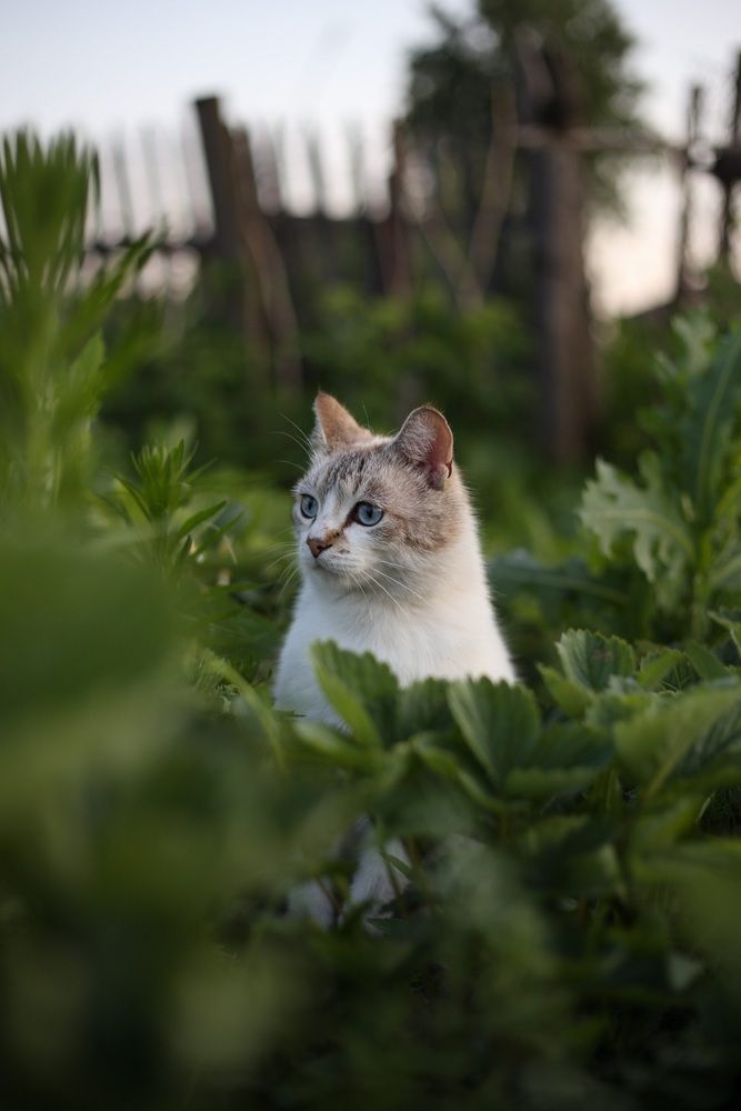 Photograph by Валерия Романова