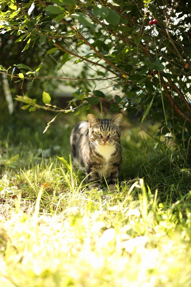 Photograph by Валерия Романова