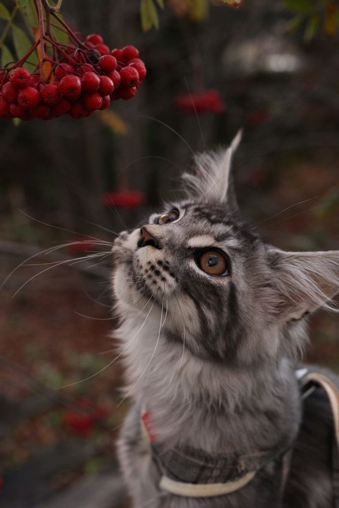 Photograph by Валерия Романова