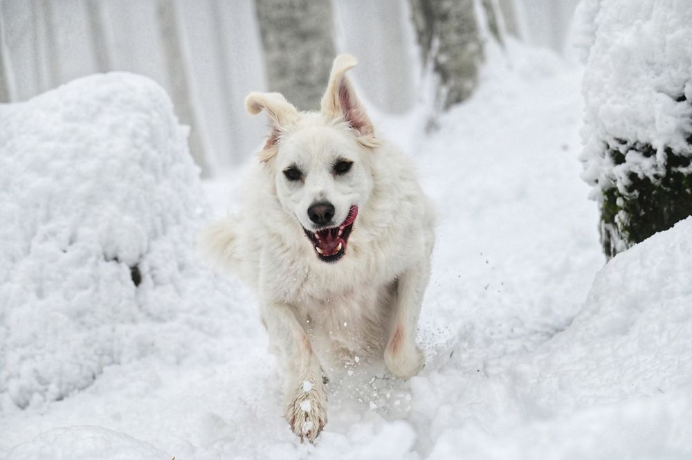 Photograph by Светлана Ивановна