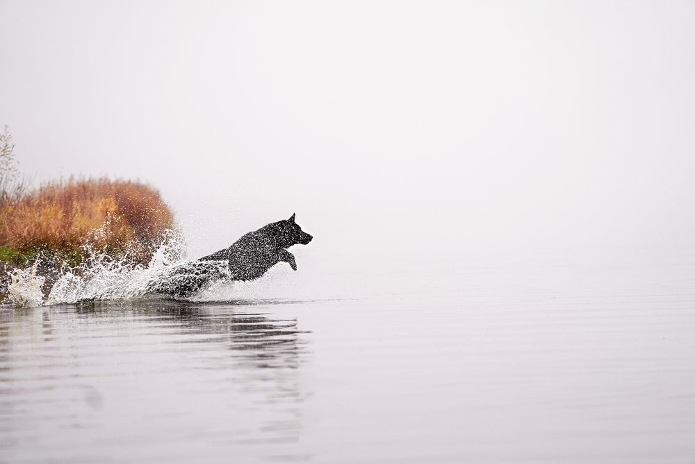 Фотография автора Оксана Серова