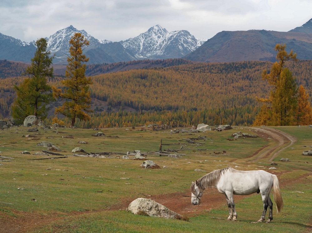 Photograph by Евгений Яковлев
