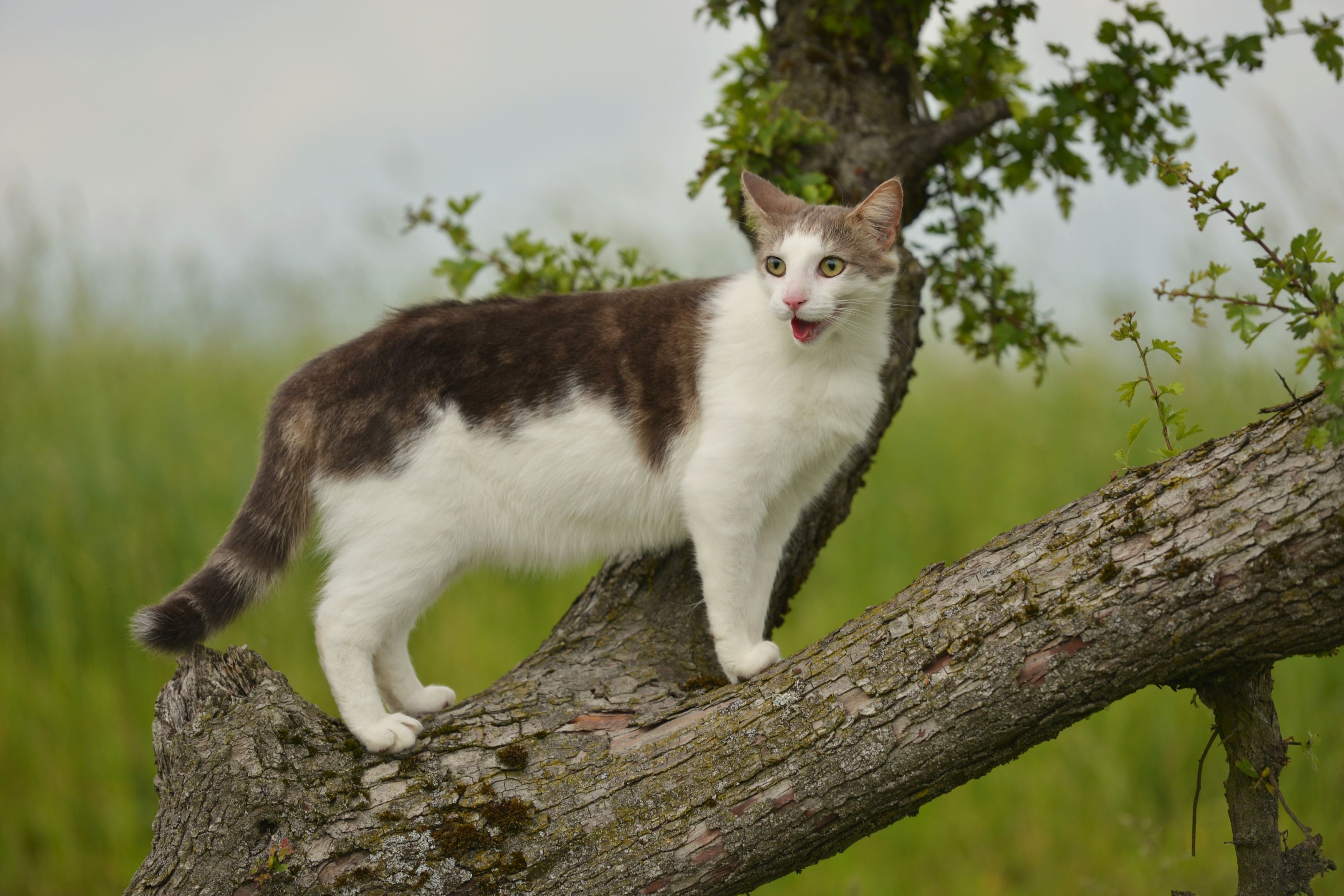 Photograph by Максим Вышарь