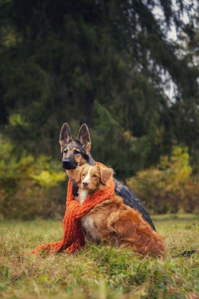 Photograph by Татьяна