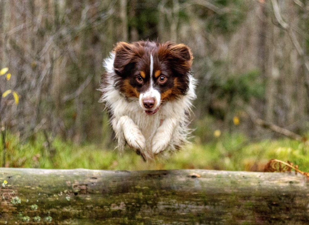 Photograph by Татьяна