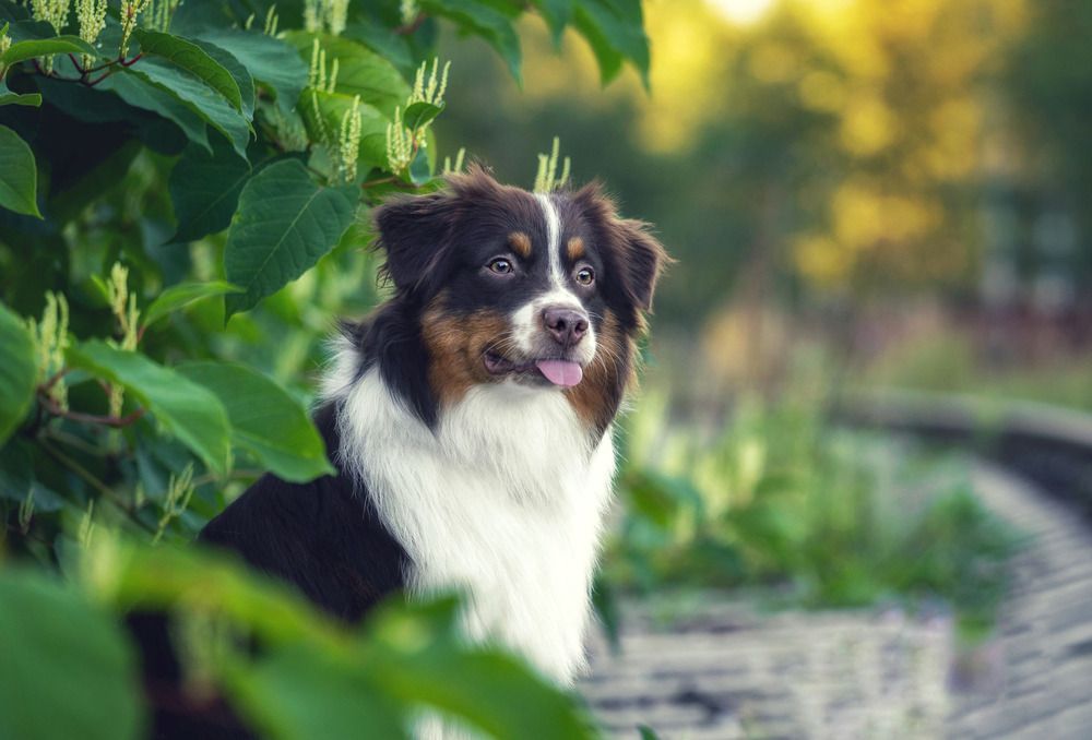 Photograph by Татьяна