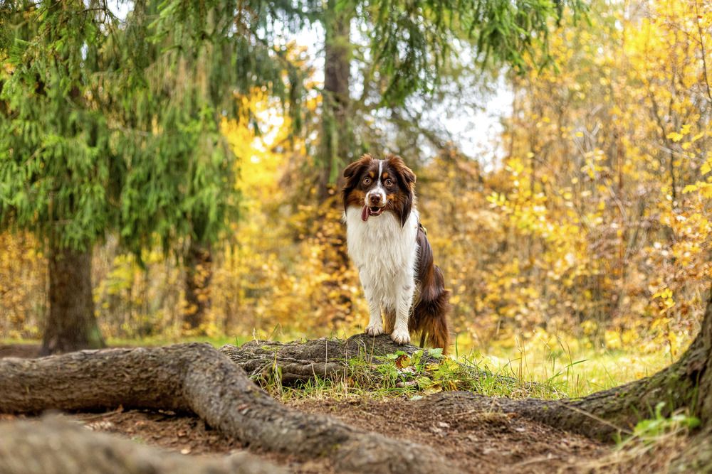 Photograph by Татьяна