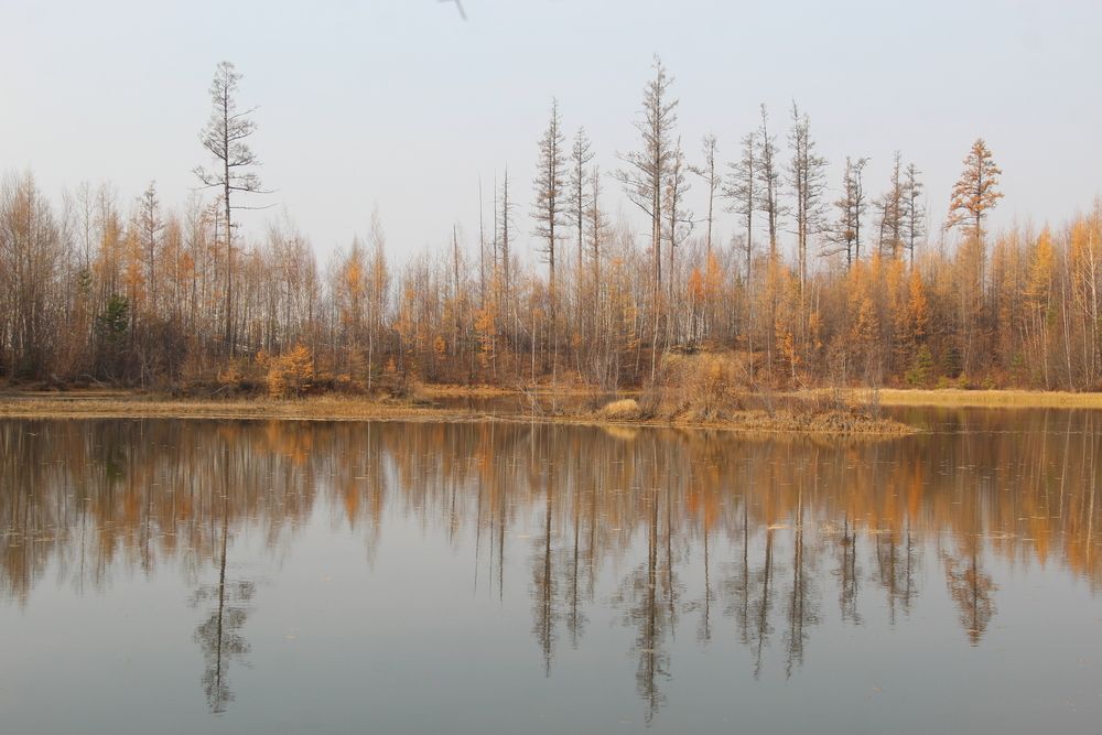 Photograph by Михаил Мархинин