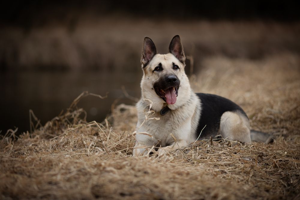 Photograph by Екатерина Смирнова