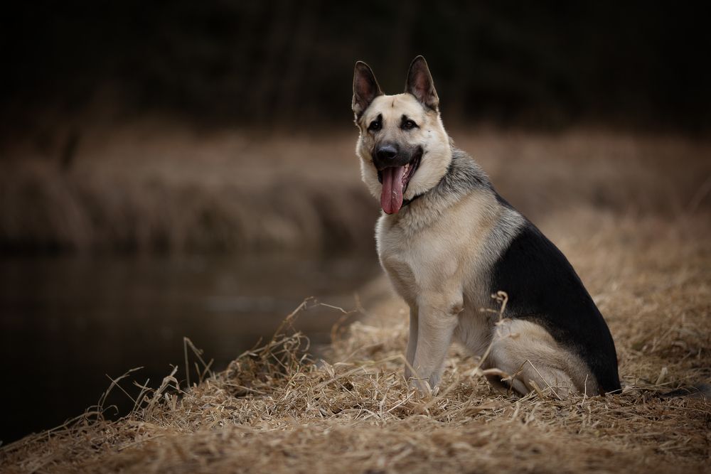 Photograph by Екатерина Смирнова