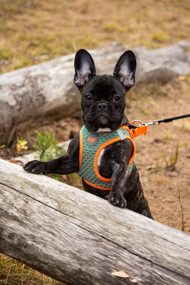 Photograph by Никита Иванов