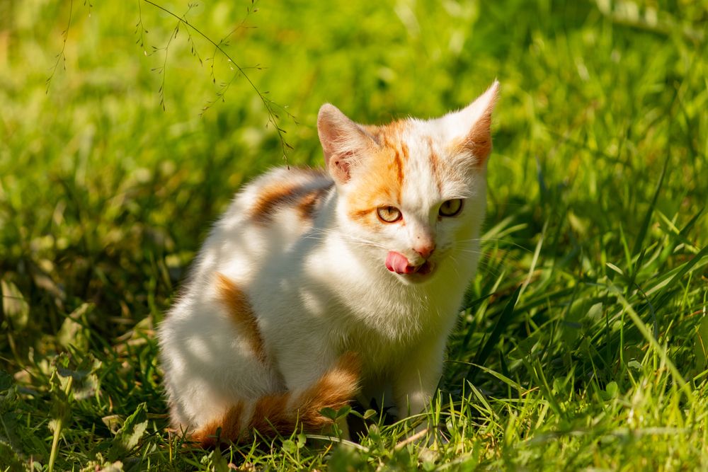 Photograph by Никита Иванов