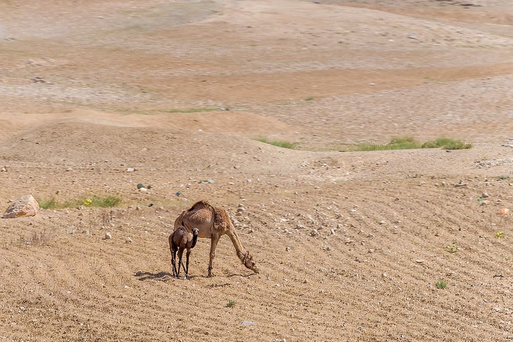 Photograph by Алексей Козлов