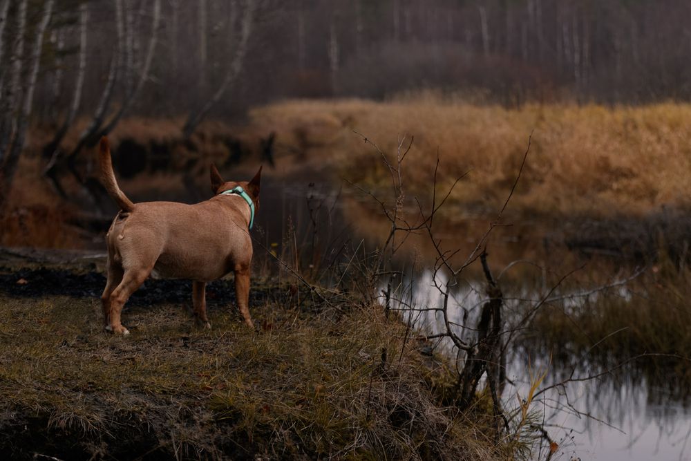 Photograph by Катерина Гест