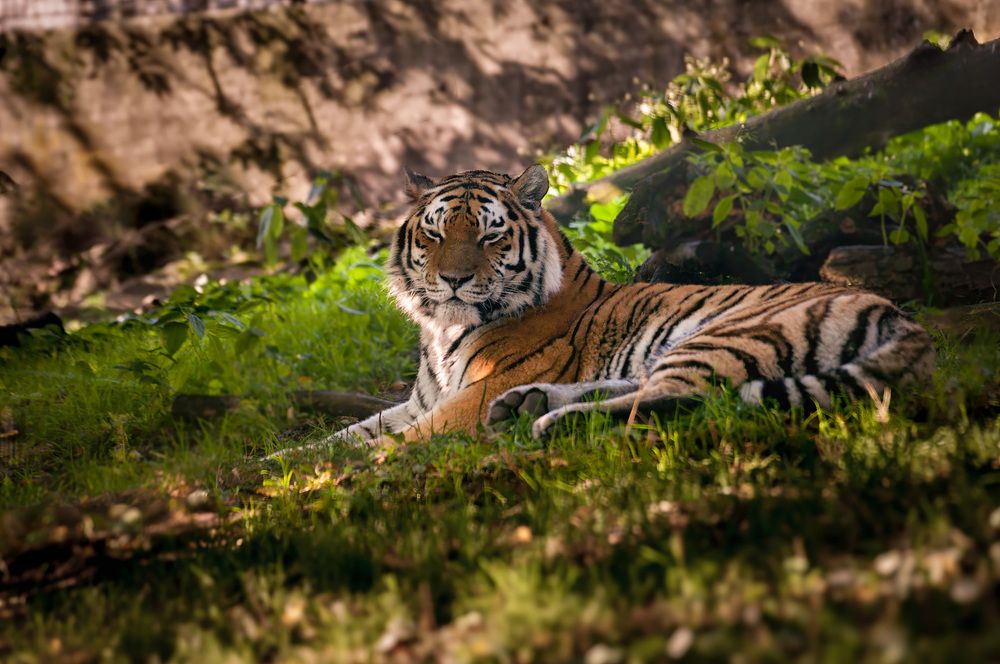 Photograph by Алексей Козлов