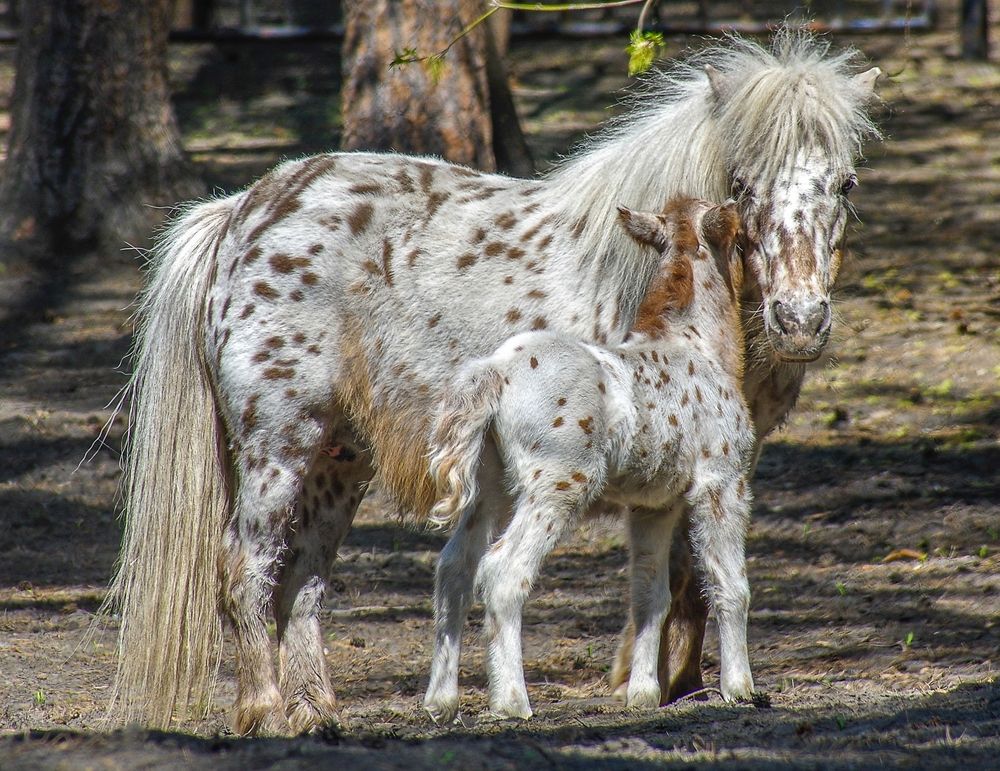 Photograph by Михаил Измайлов