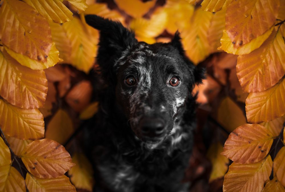 Photograph by Omica Meinen