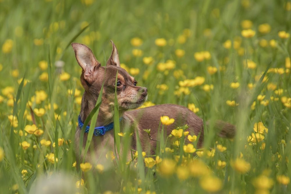 Photograph by Валентина Куренкова
