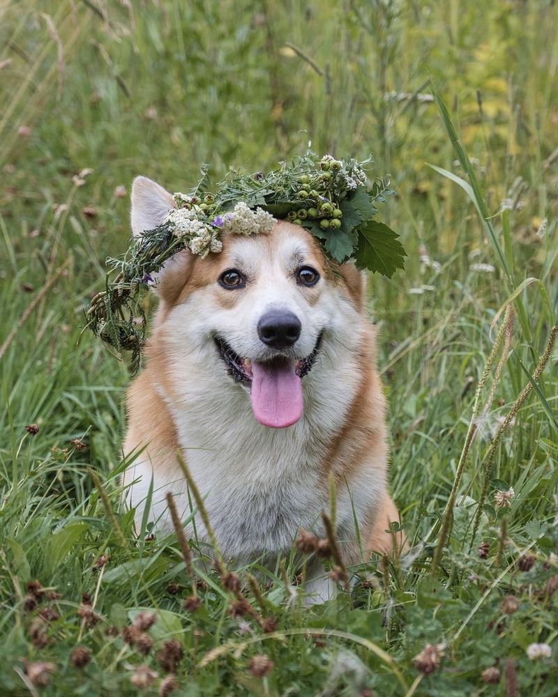 Photograph by Юлия Сидорова