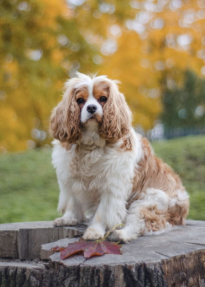 Photograph by Юлия Сидорова