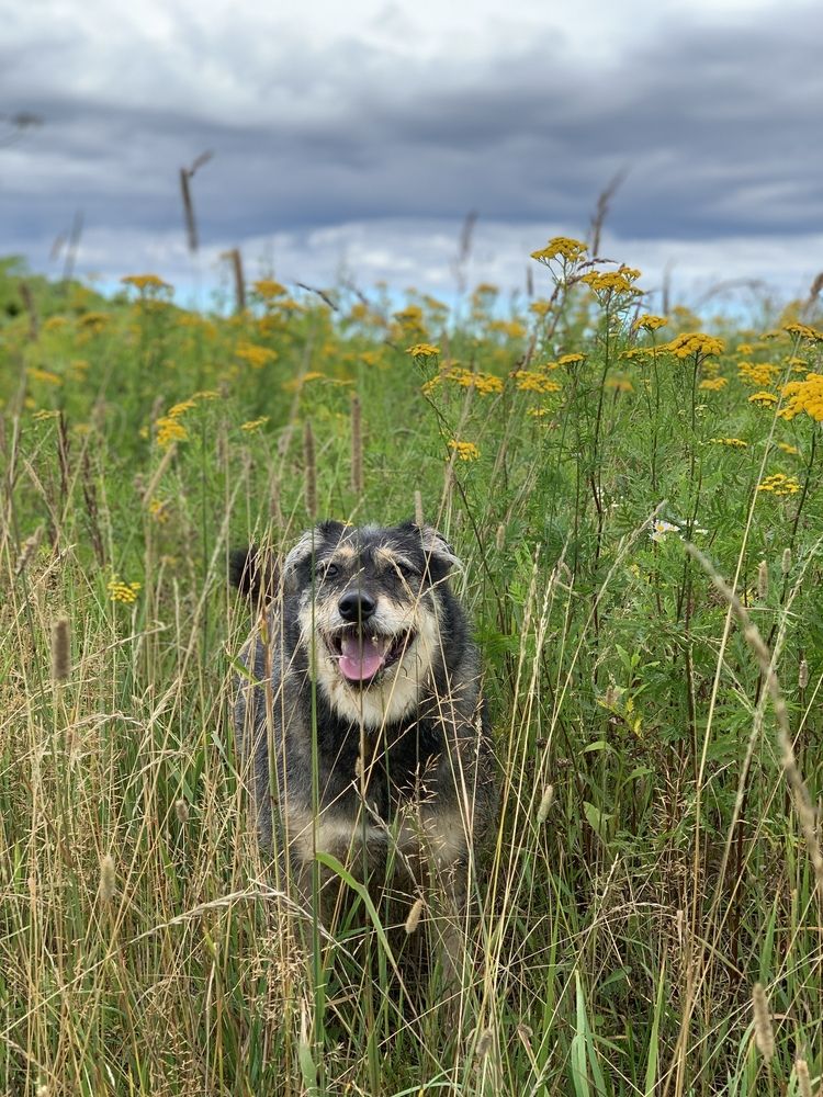 Найдите Глашу!
